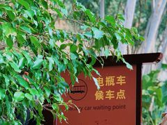 -仙岳公园