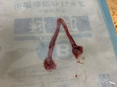 -伟伟宠物医院·瑞派猫友好医院·猫科(光谷店)
