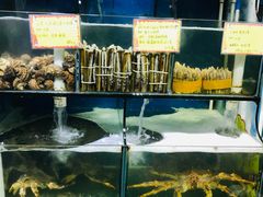 门面-蚝专家(北滘店)
