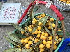 -塘栖枇杷特色园区