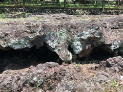-海口火山口国家地质公园