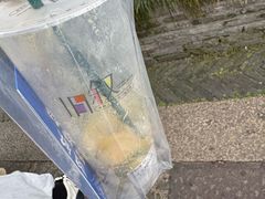 -猫的魔法密林(衣裳街店)