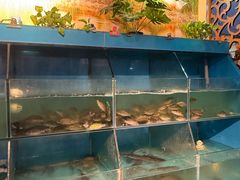 -湘当有味(宋诏桥一店)