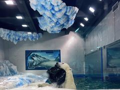 -大连圣亚海洋世界