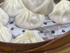 -莱莱小笼·乔艾