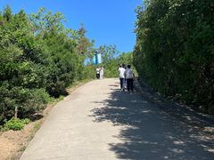 -府君山公园