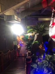 -恐龙探索乐园(磁器口店)