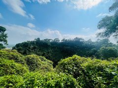 -海口火山口国家地质公园
