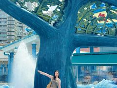 -海合安成都极地海洋公园