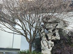 -南京市民俗博物馆(甘熙宅第)