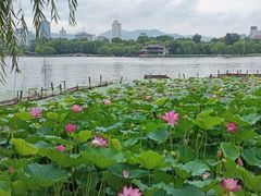-济南大明湖景区