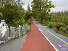 -上海长兴岛郊野公园