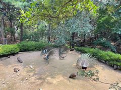 -燕塞湖鸟语林景区