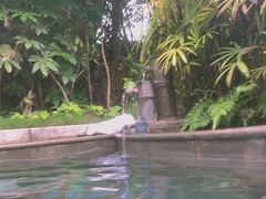 -剑河仰阿莎温泉小镇