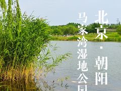 -马家湾湿地公园