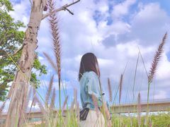 -光明小镇欢乐田园