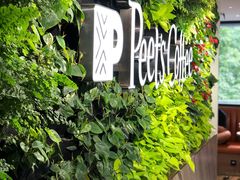 -Peet's Coffee皮爷咖啡(大学路店)