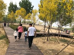-东郊湿地公园