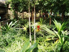 -南宫五洲植物乐园