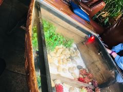 -西塘人家•黑金冠本地好店