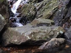 -梧桐山风景名胜区