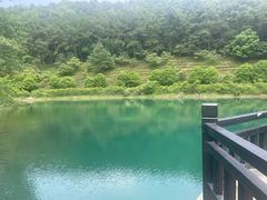 -旺福楼(钱家坞总店)