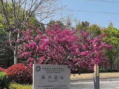 -上海崧泽遗址博物馆