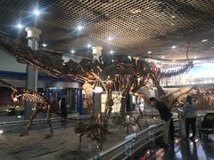 -国家自然博物馆