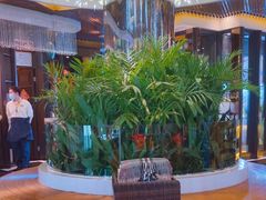 -润园四季椰子鸡火锅(海上世界店)