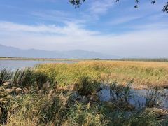 -野鸭湖国家湿地公园