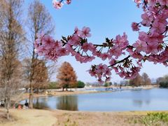 -上海辰山植物园