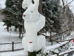 -北海道神宫