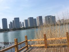 -尚贤河湿地