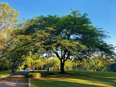 -中国科学院西双版纳热带植物园