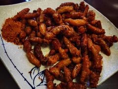 炸蜂蛹-老张烤羊(王哥庄店)
