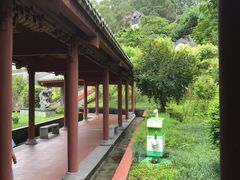 -广州神农草堂中医药博物馆