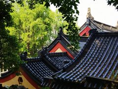 -九华山公园