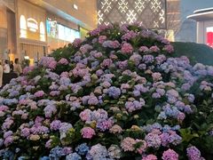 -首开·龙湖成都西宸天街