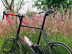 -白鹭湾湿地公园