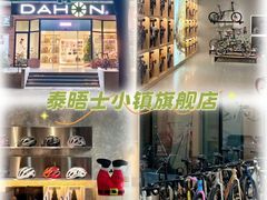 -DAHON大行折叠自行车(松江旗舰店)