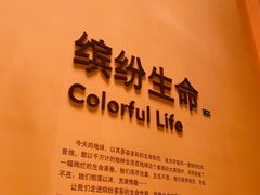 -上海自然博物馆