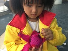 -世界之窗阿尔卑斯冰雪世界
