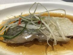 料酒蒸鲥鱼-太湖饭店·寄畅轩中餐厅