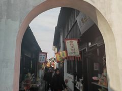 -张家港凤凰山景区恬庄古街