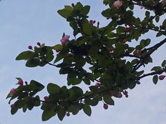 -天鹅湖体育公园