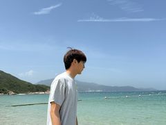 -杨梅坑