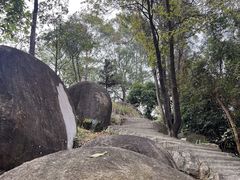 -火炉山森林公园