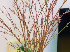 -循礼门鲜花花市(武汉循礼门店)