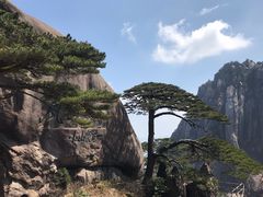 -徽州美食(三十年老店)