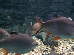 -常州海昌海洋探索馆